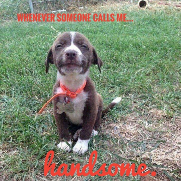 Meet your Posher, Michael - Picture 2 of 3